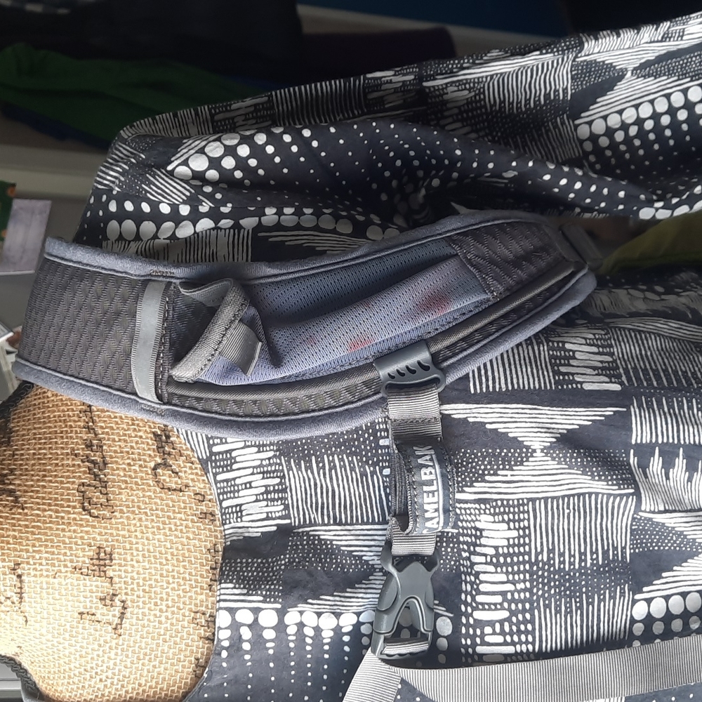 Camelbak Backpack - image 4